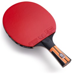 Timo Boll Comfort Racket